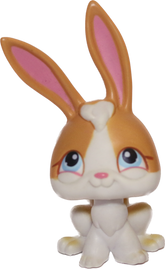 #0075 Rabbit